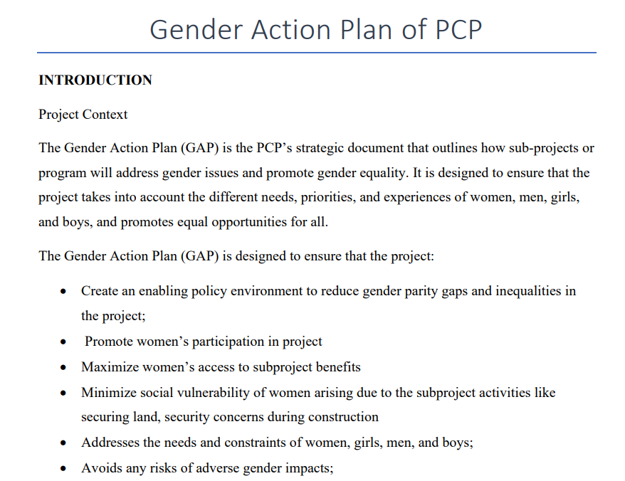 Gender-Action-Plan 